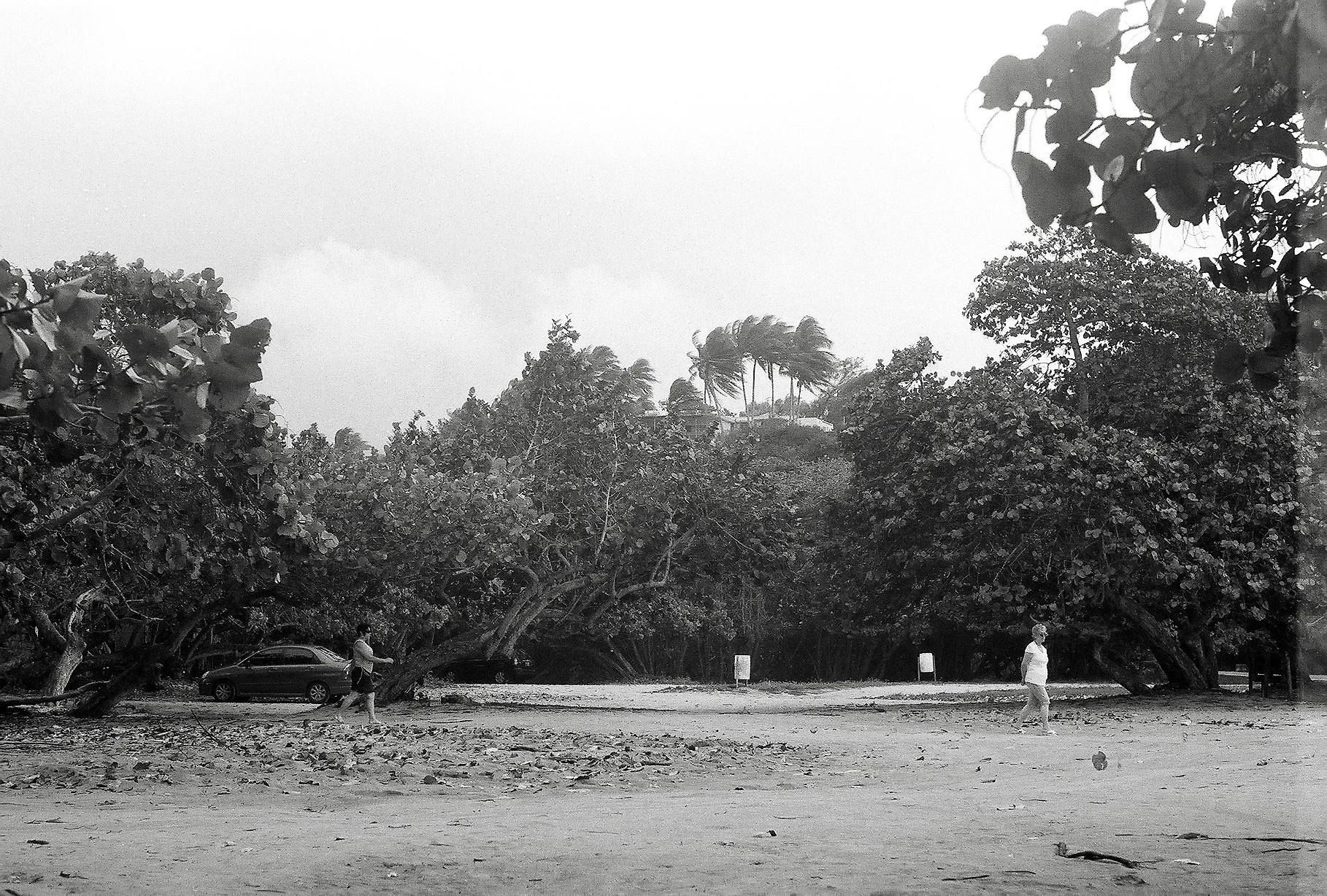 A167501_013.jpg