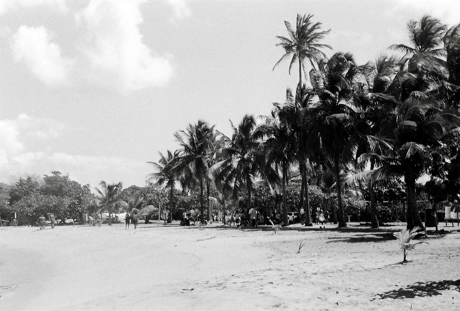 A167501_033.jpg