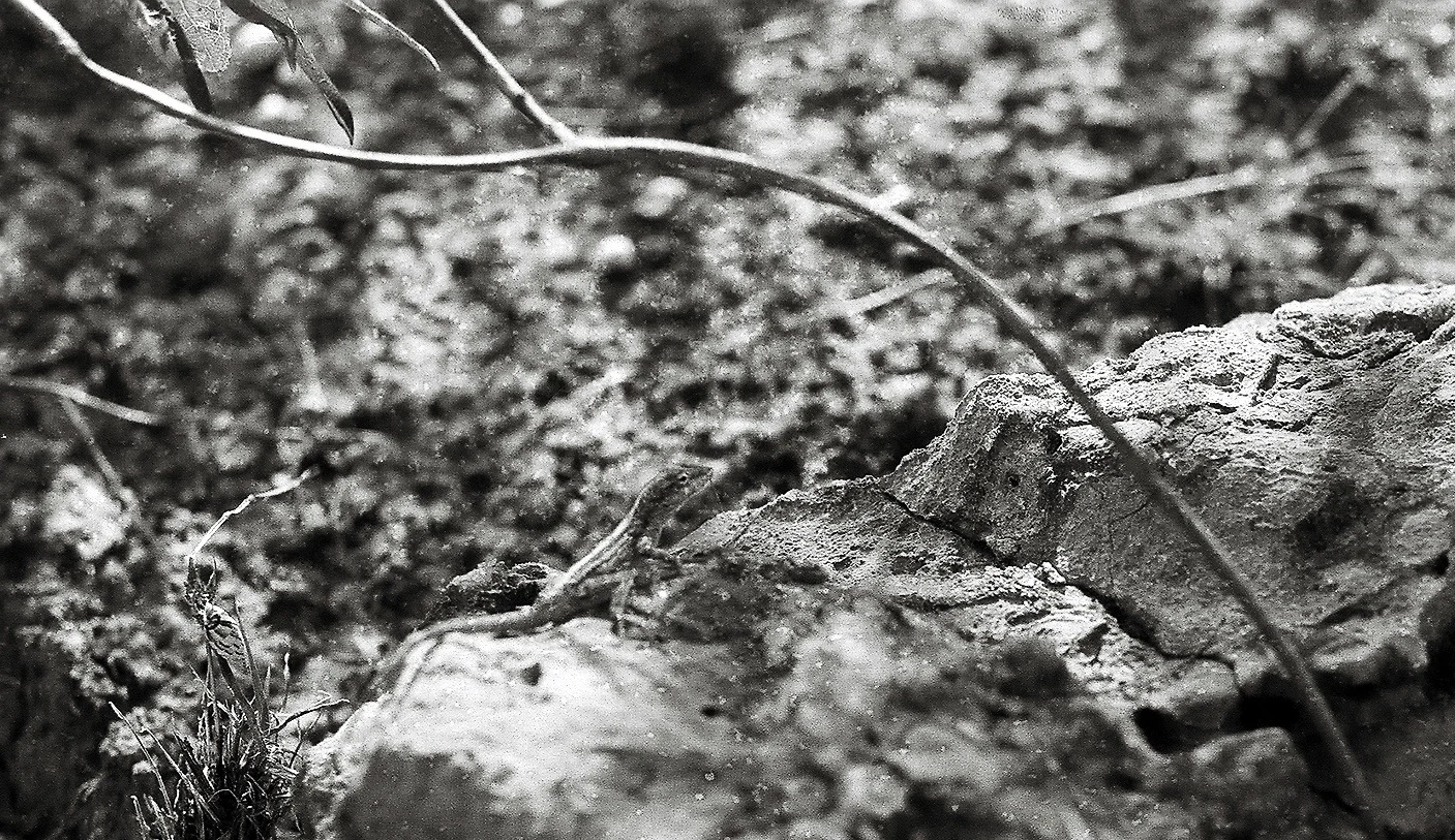 A167502_020.jpg