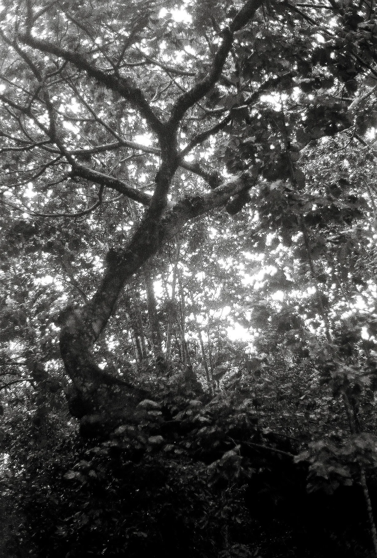 A167502_031.jpg