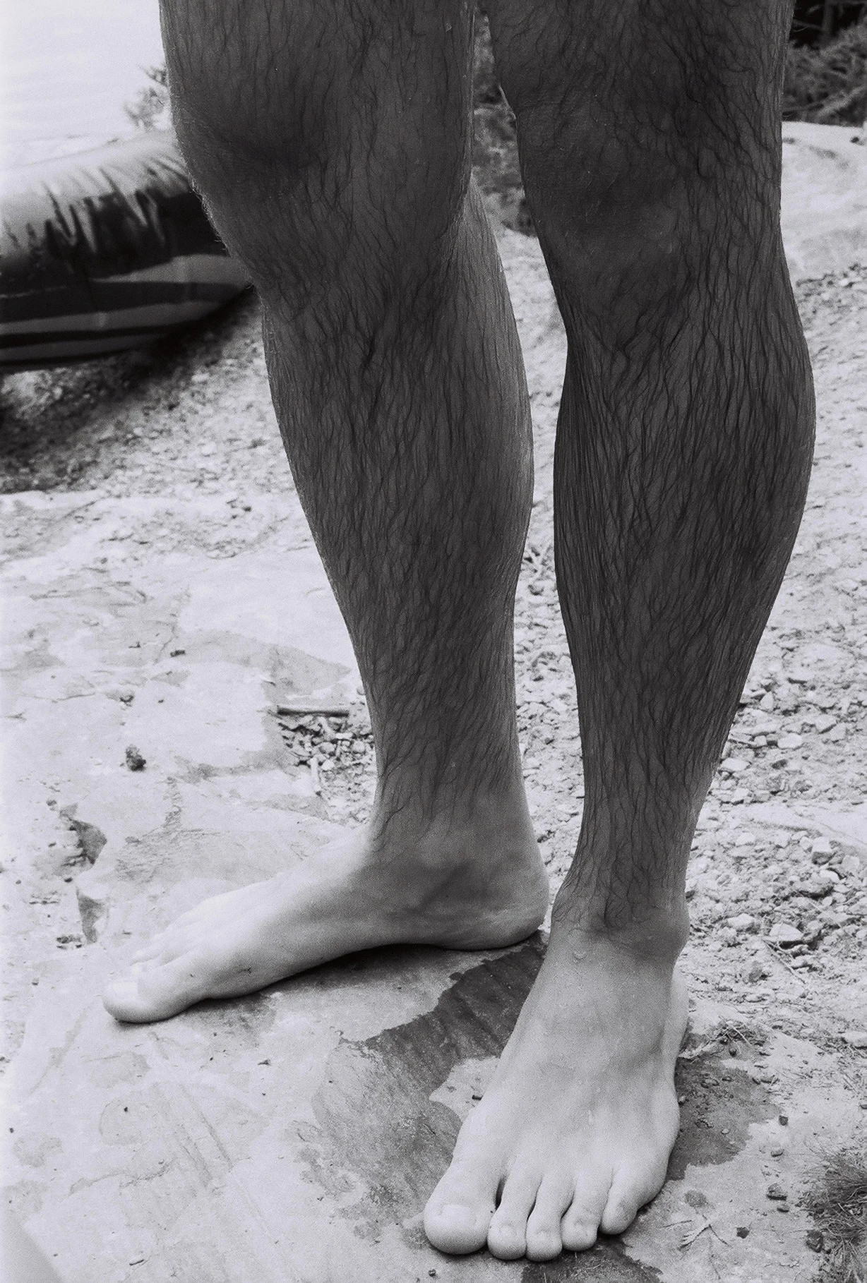 fullsizeoutput_2875.jpeg