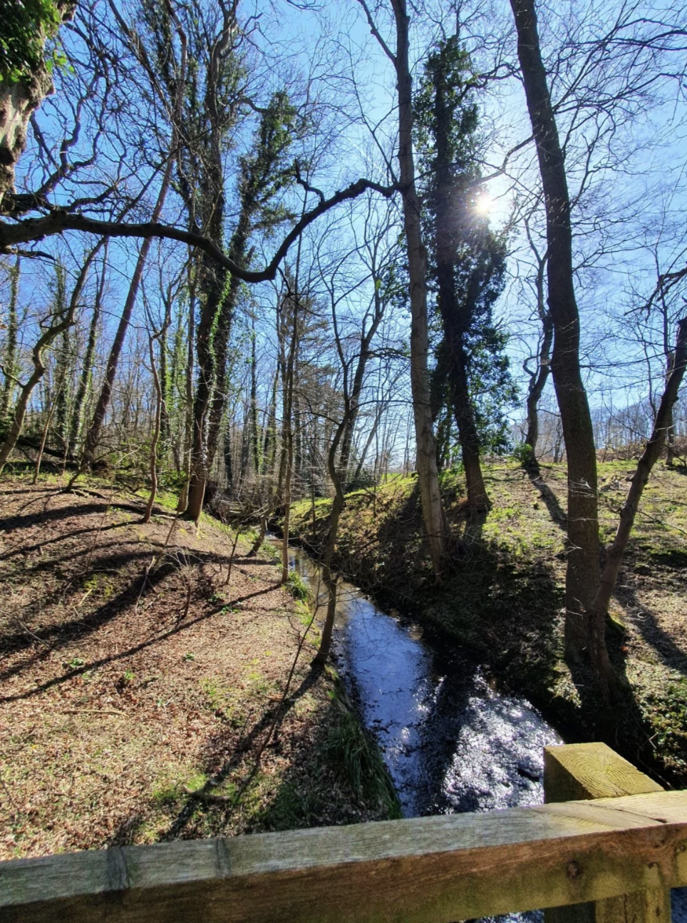 Screenshot 2026-03-13 at 16.01.03.png