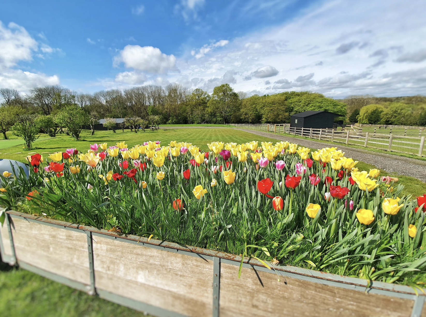 Screenshot 2026-03-13 at 16.00.44.png