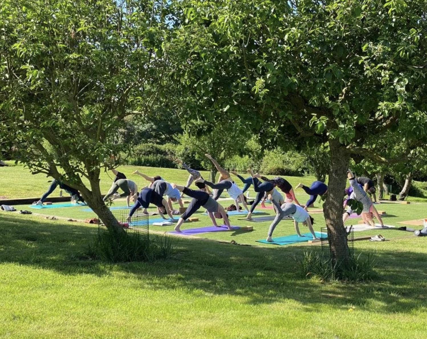 Screenshot 2026-03-13 at 15.59.37.png