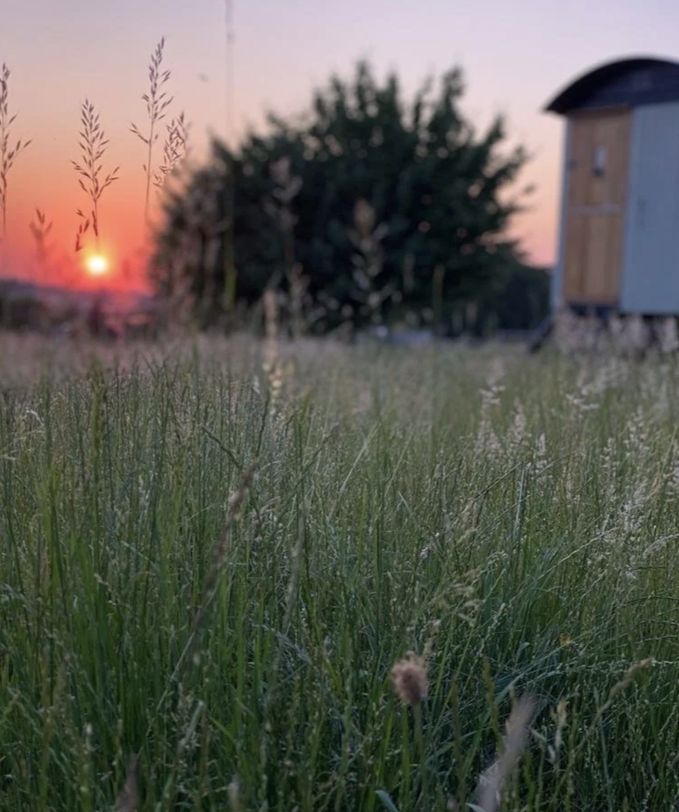 Screenshot 2026-03-13 at 15.59.25.png