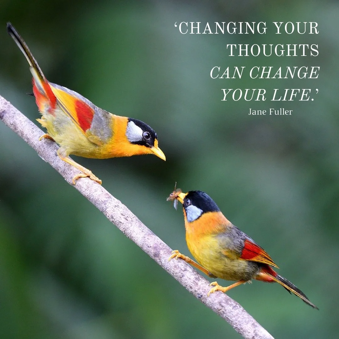 Instagram - Change.jpg