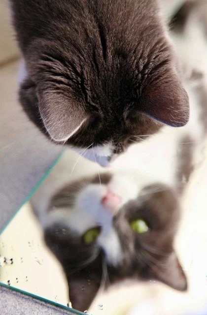 ‘Your Appearance Is A Mirror’ 