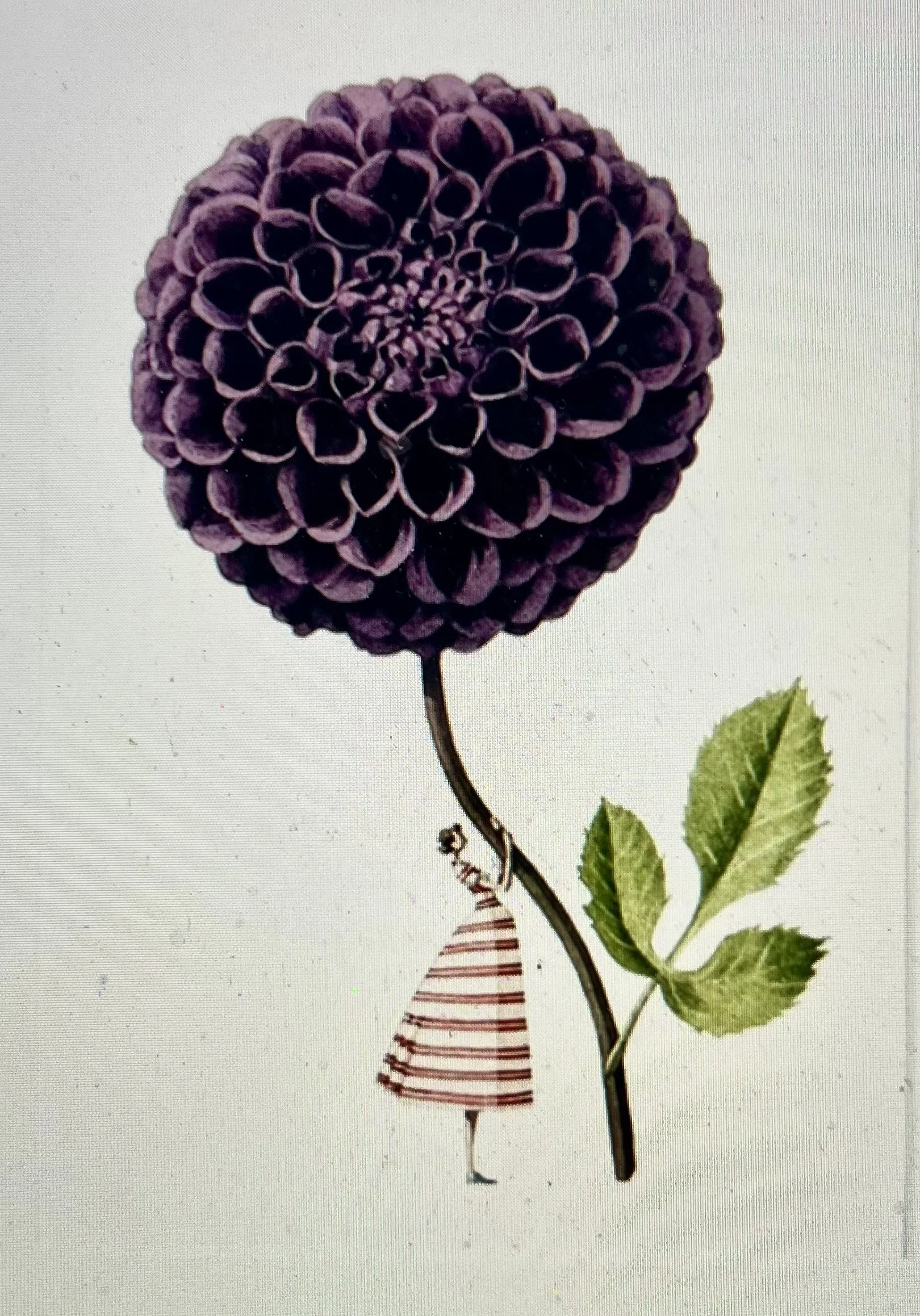 ‘Your Life Is Controlled By Your Mind’ 