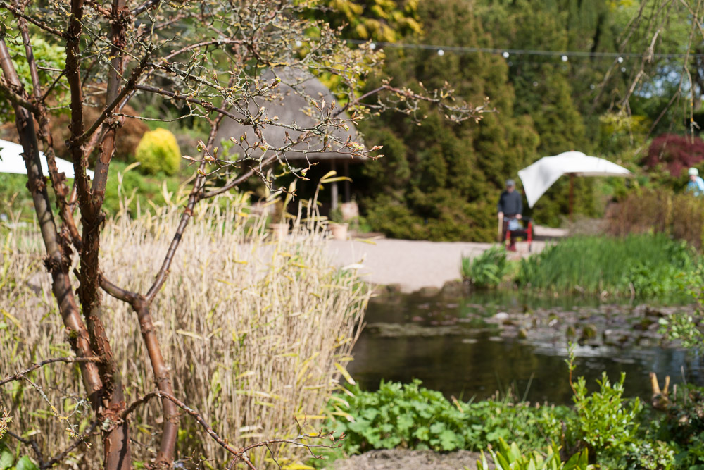 Ness Gardens