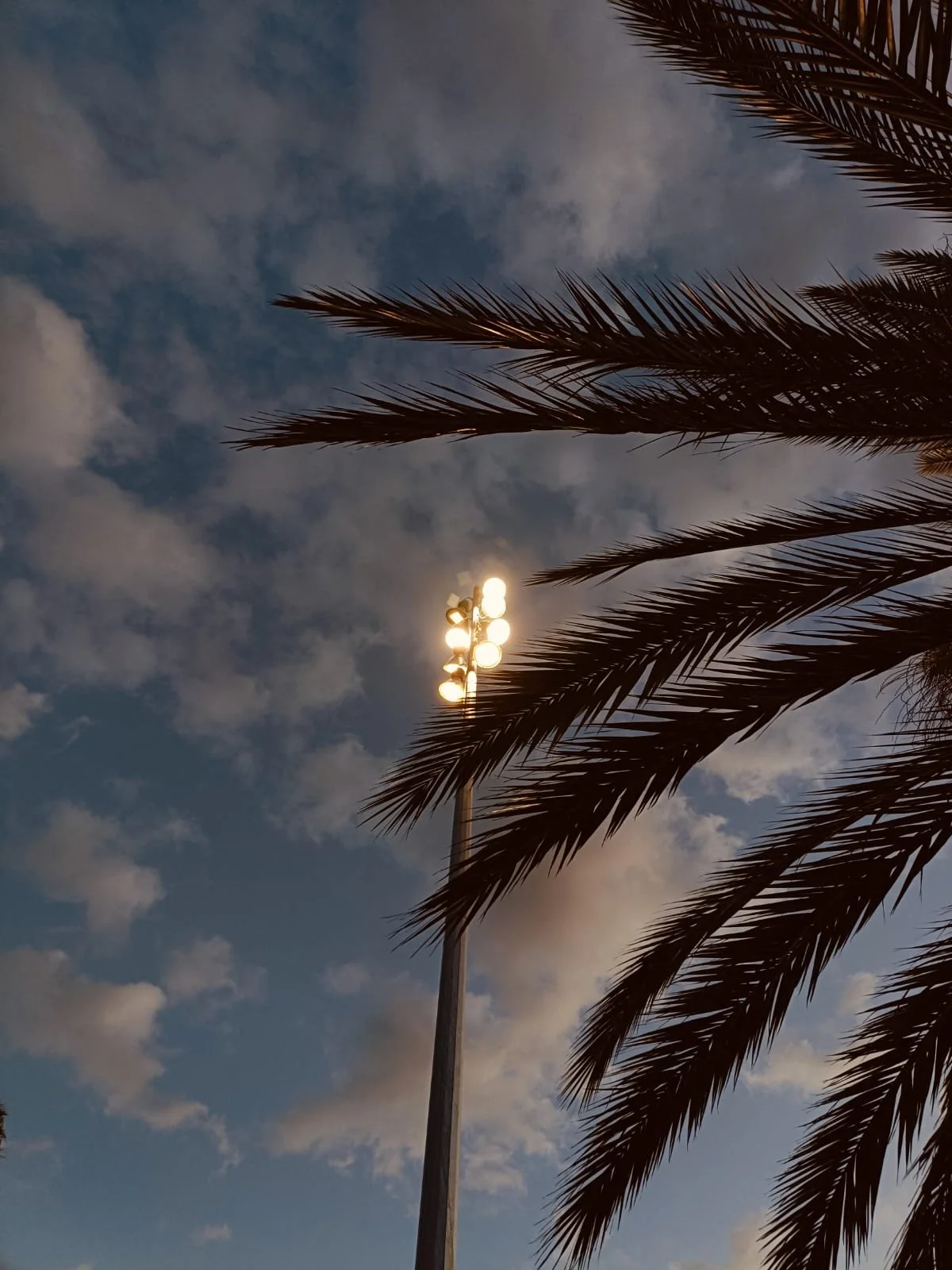 Dia Mundial de la Poesia al Cccb