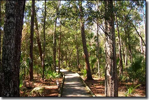 Crystal_Preserve_State_Park-1.jpg