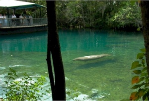 wildlifepark11.jpg