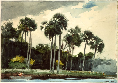 Red_Shirt_Homosassa_Florida_by_Winslow_Homer_1904.png