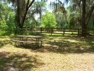 Birding_Trail.jpg