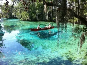 crystal-river.jpg