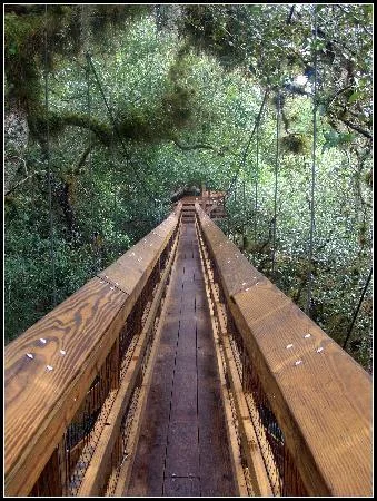 85-long-walk-bridge.jpg