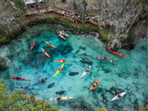 Three Sisters Springs In Crystal River — Villages of Citrus Hills
