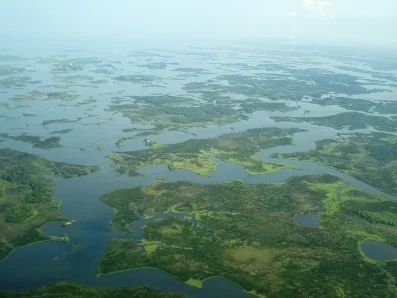 Ozello-Area.jpg