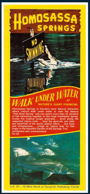 homossa_springs_poster.png
