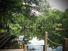 withlacoochee-river.jpg
