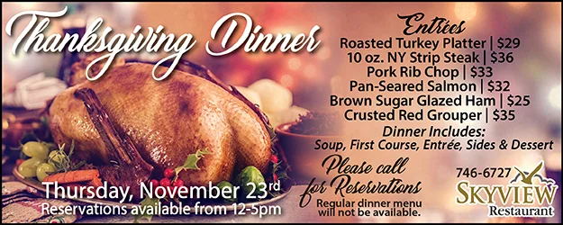 Thanksgiving Dinner Skyview Nov 2017 EB.jpg