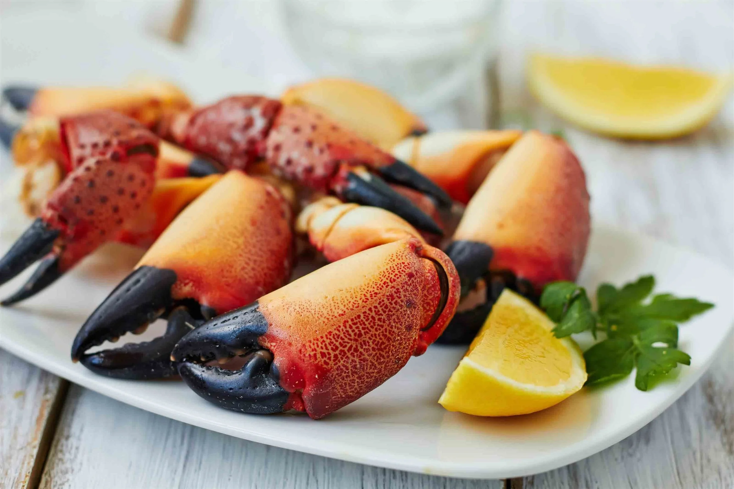 Stone Crab.jpg