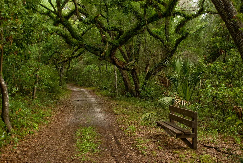 Fort-Cooper-Hiking-Trails.jpg