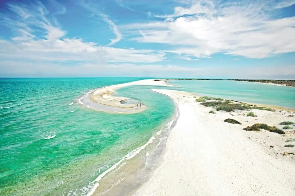 The 10 Best West Coast Florida Beaches — Villages of Citrus Hills
