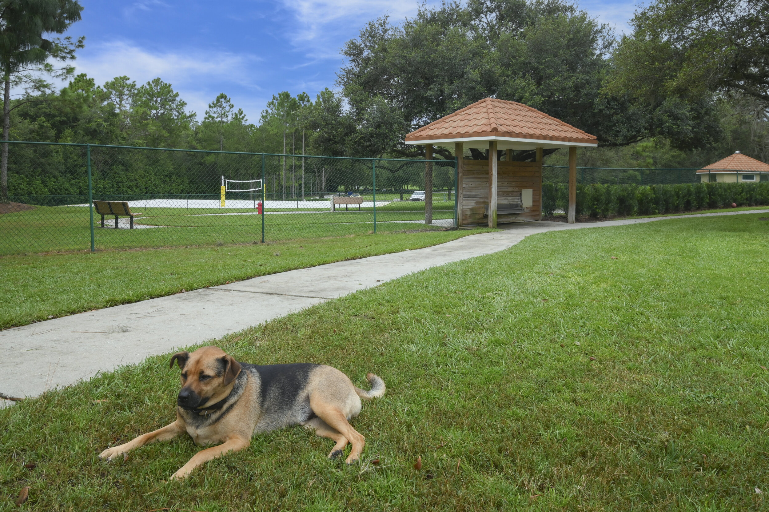 2-Acre Dog Park