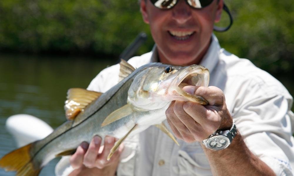 Snook Season