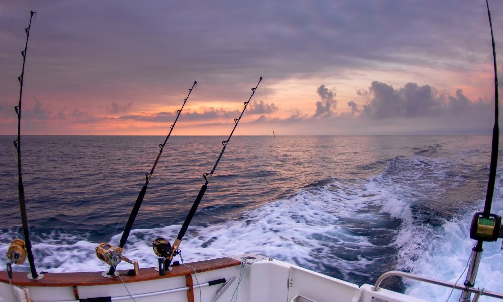 Fishing Charters