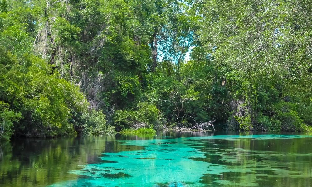 Local Freshwater Springs