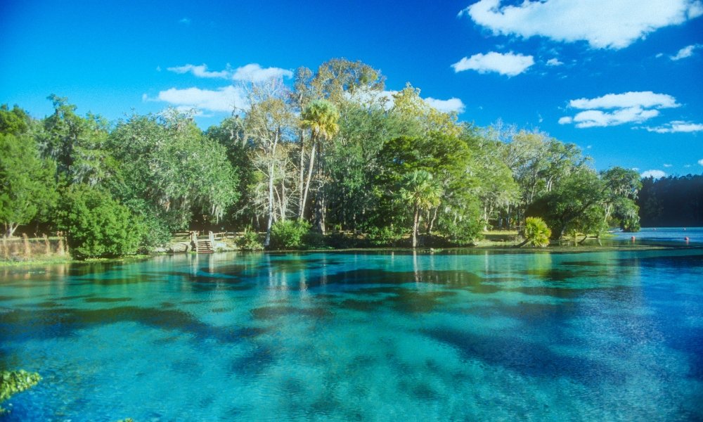 Nearby Freshwater Springs