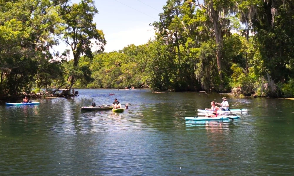 Top 5 Hidden Gems in Citrus County, Florida — Villages of Citrus Hills