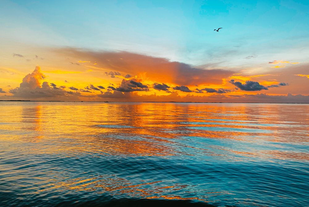 Citrus Hills Blog — Villages of Citrus Hills