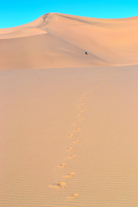 Climbing Dune
