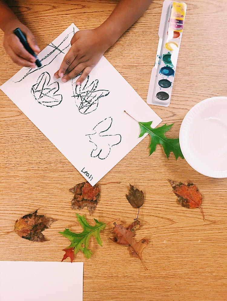 Five year old student learning to draw through observation