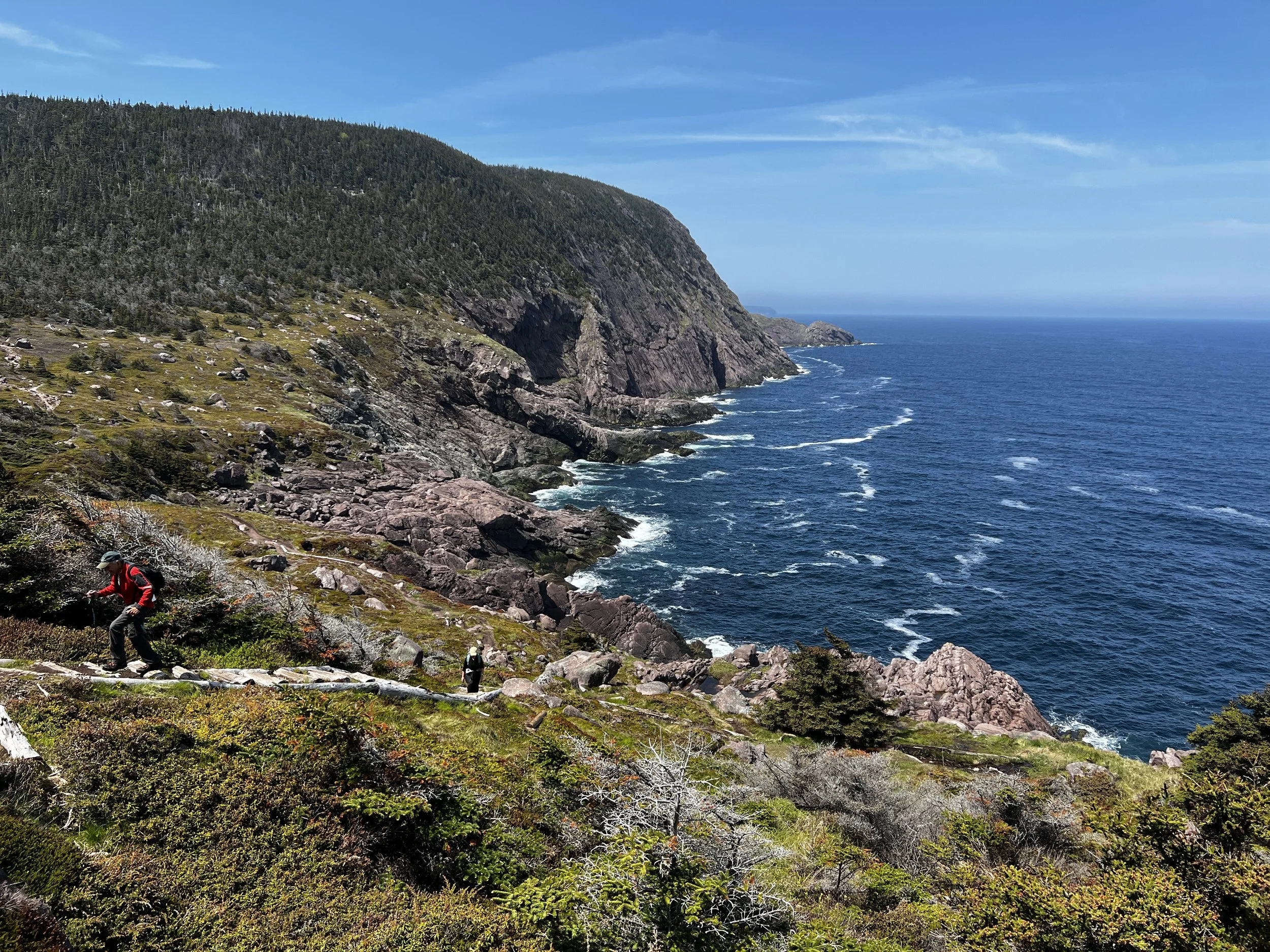 Artist in Residence Pouch Cove Foundation — S.Rueter Art Contemporary