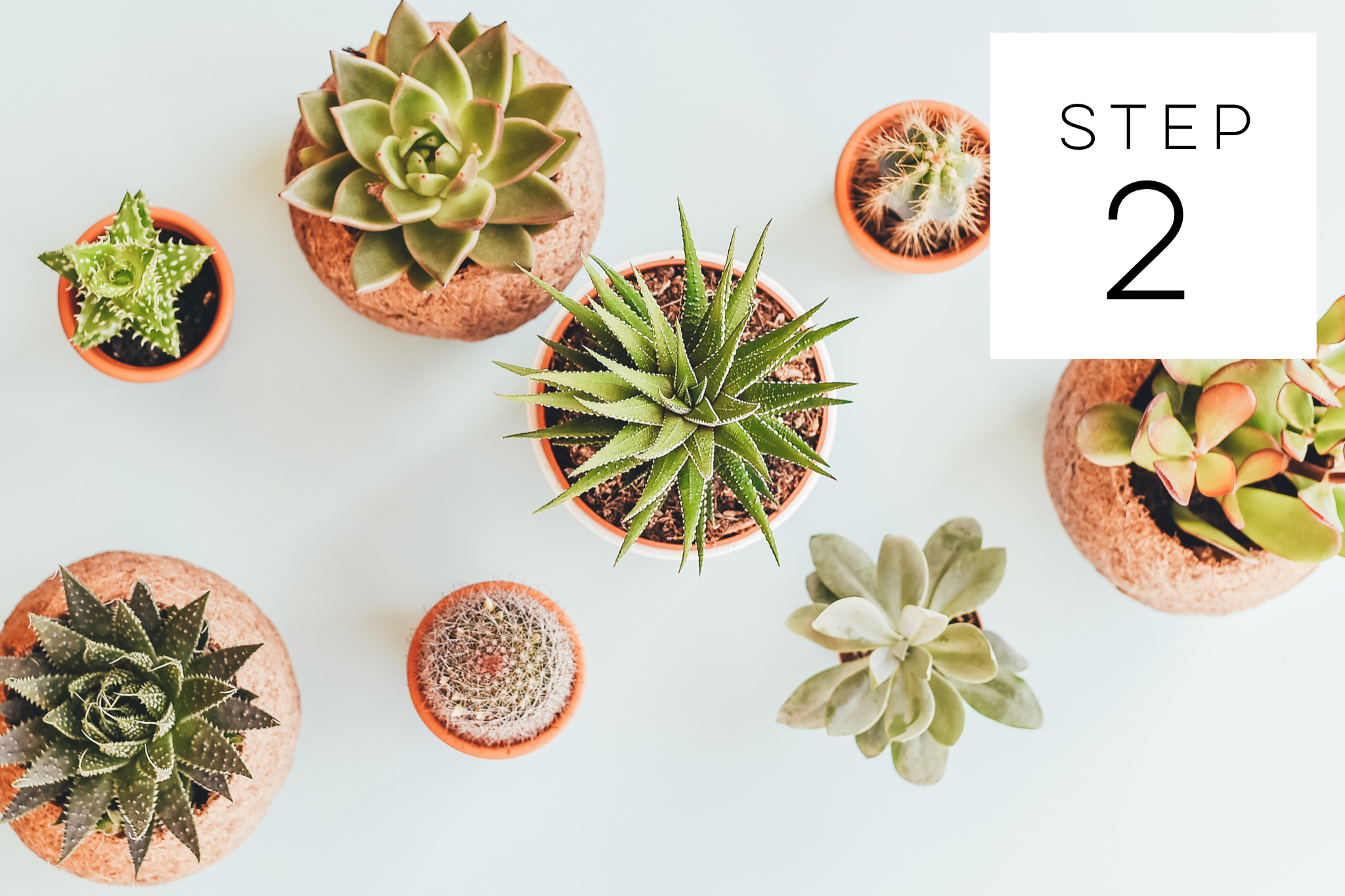 Growth Track Step 2: BE THE FAMILY