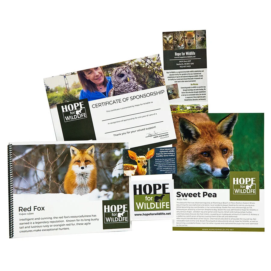 Hope for Wildlife Official Gift Shop
