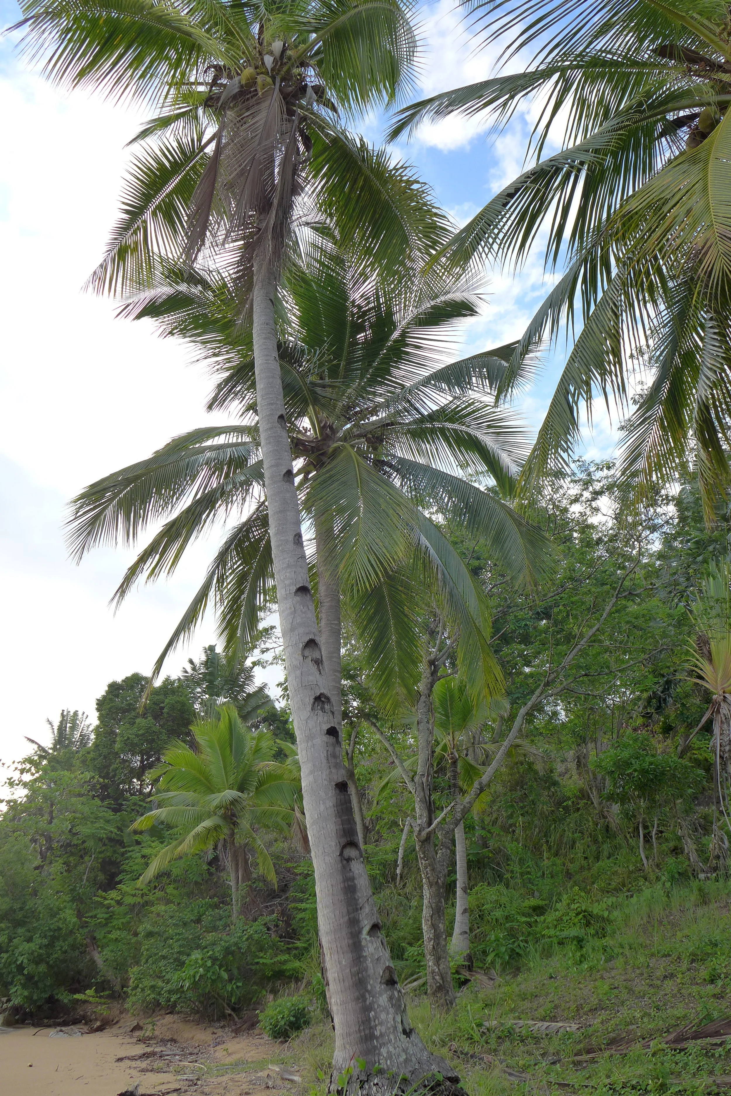 P1020051.JPG