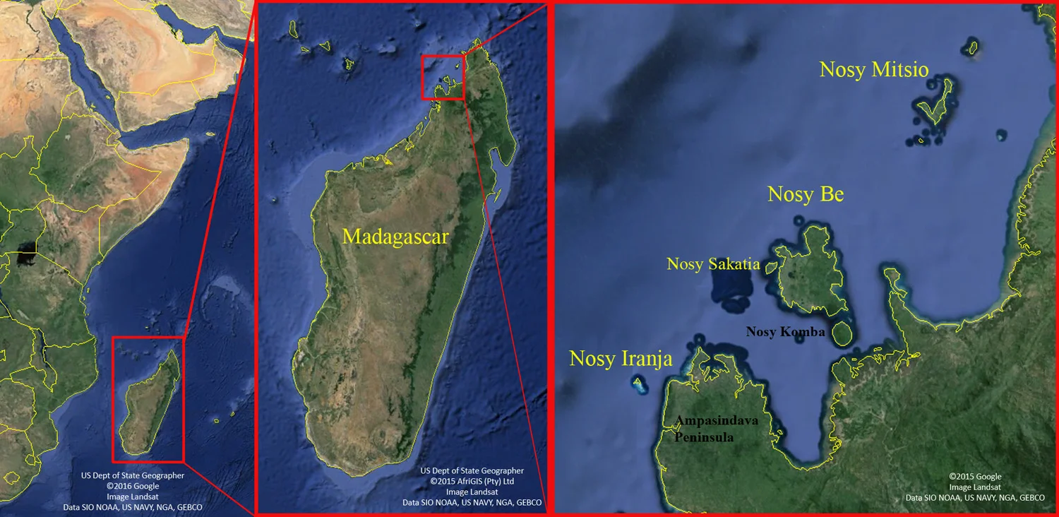 Madagascar wNW detail GE 3.7B.1500px.jpg