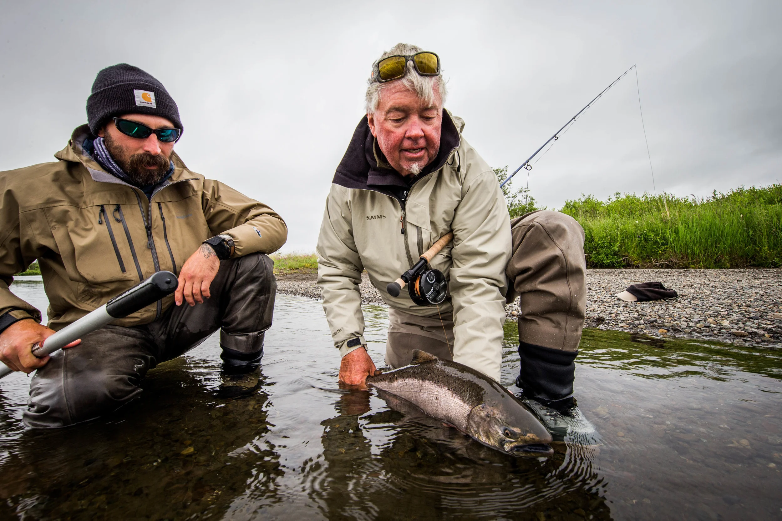 King Salmon