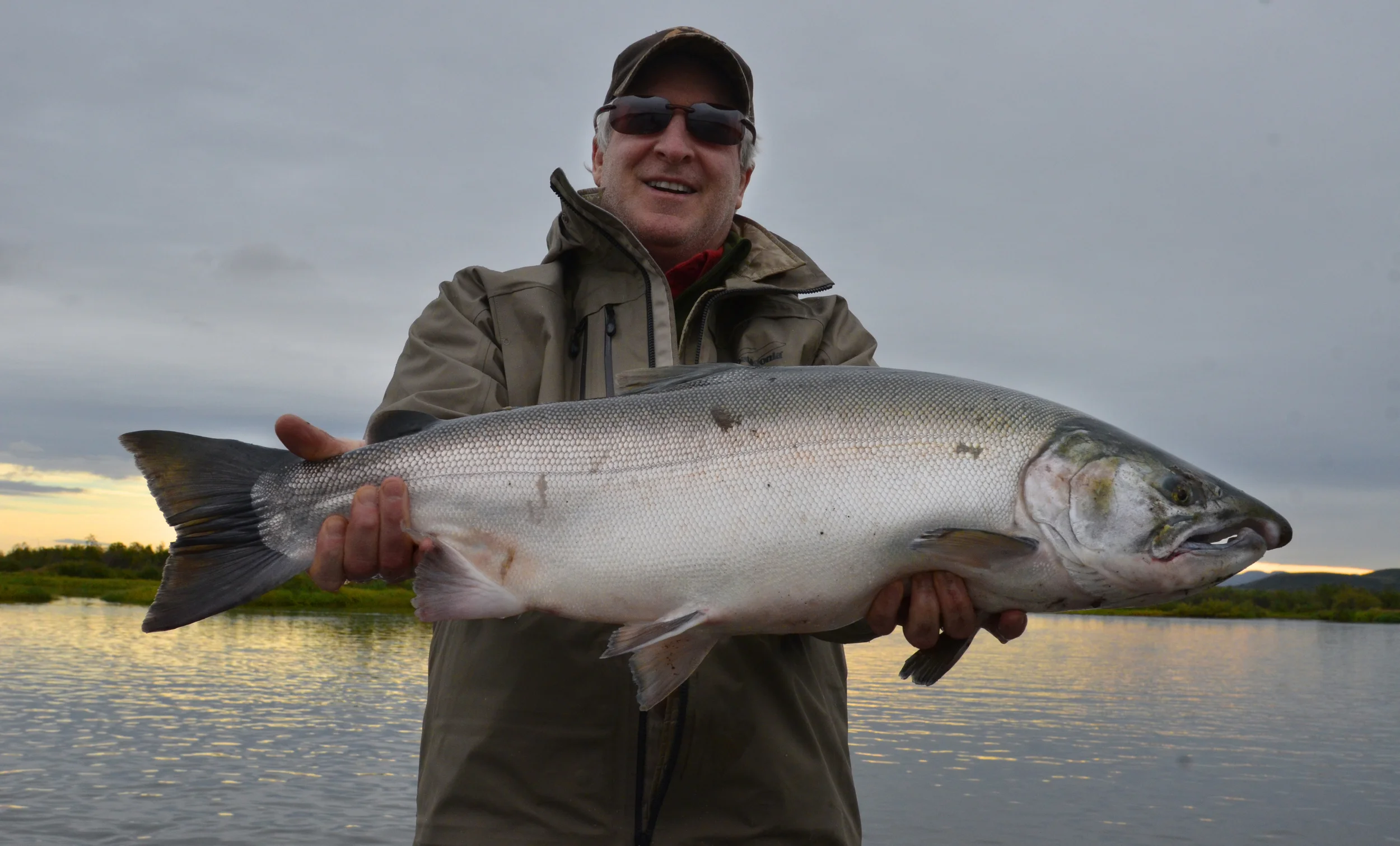 Coho Salmon