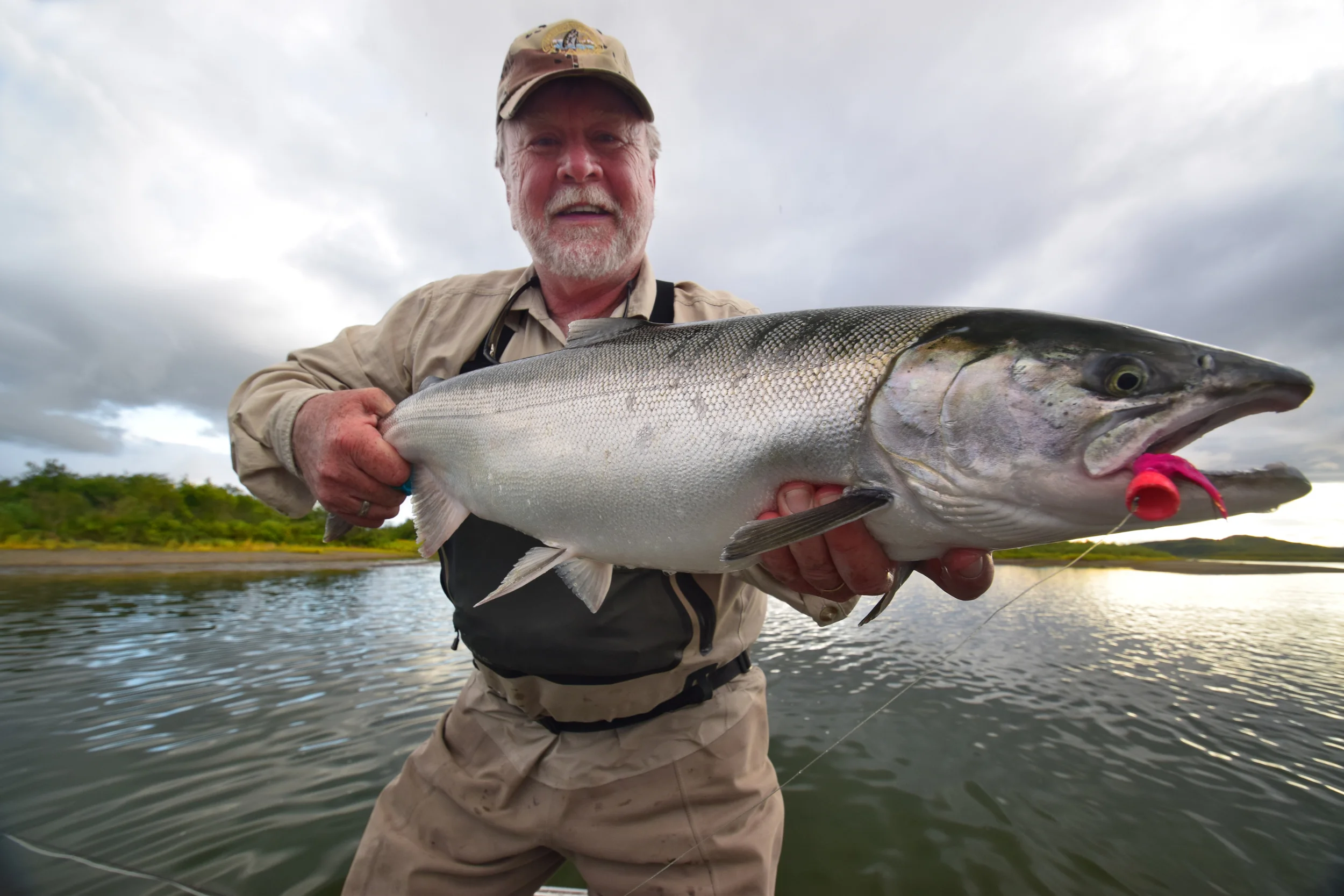 Silver Salmon