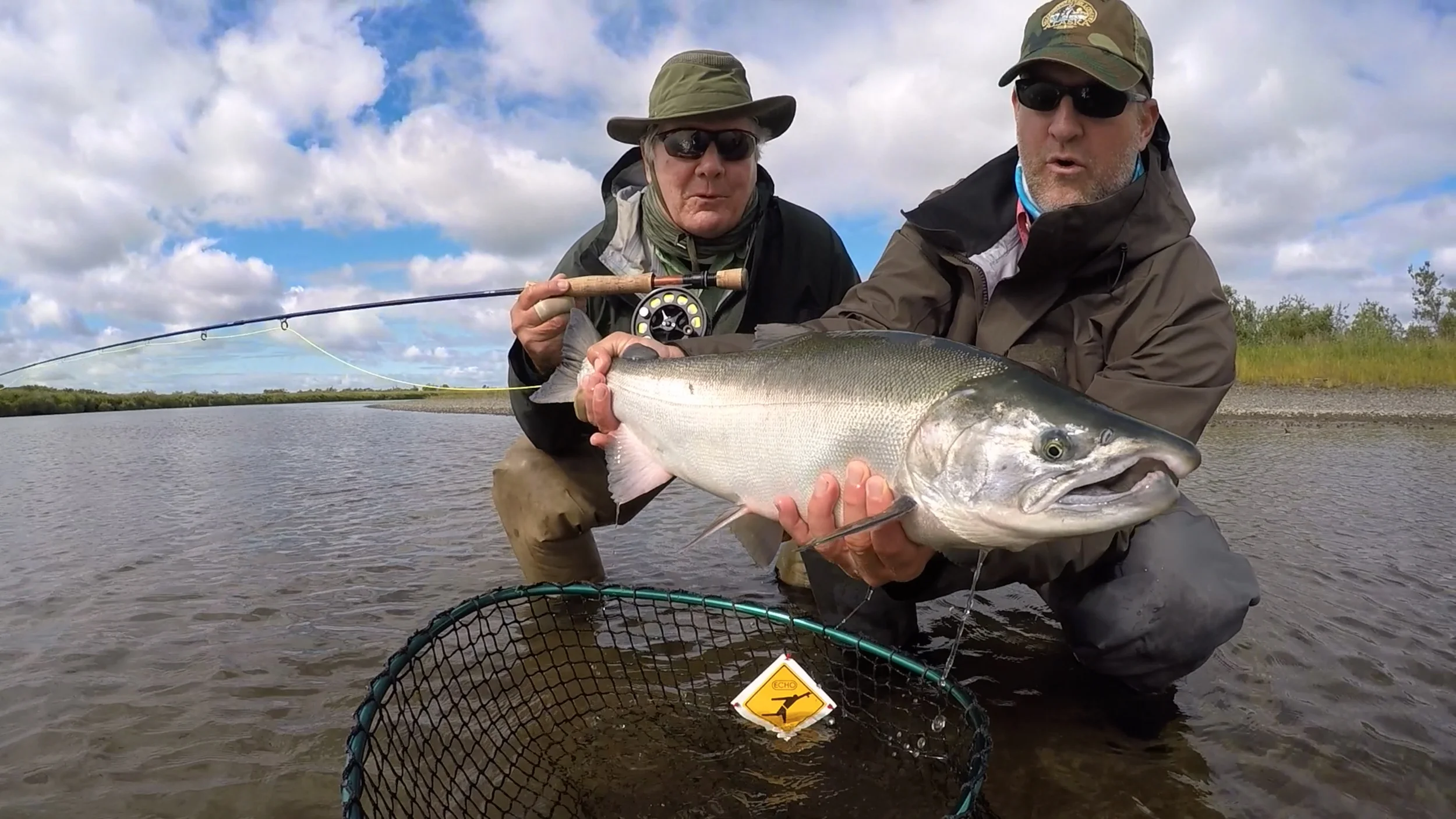 Coho Salmon