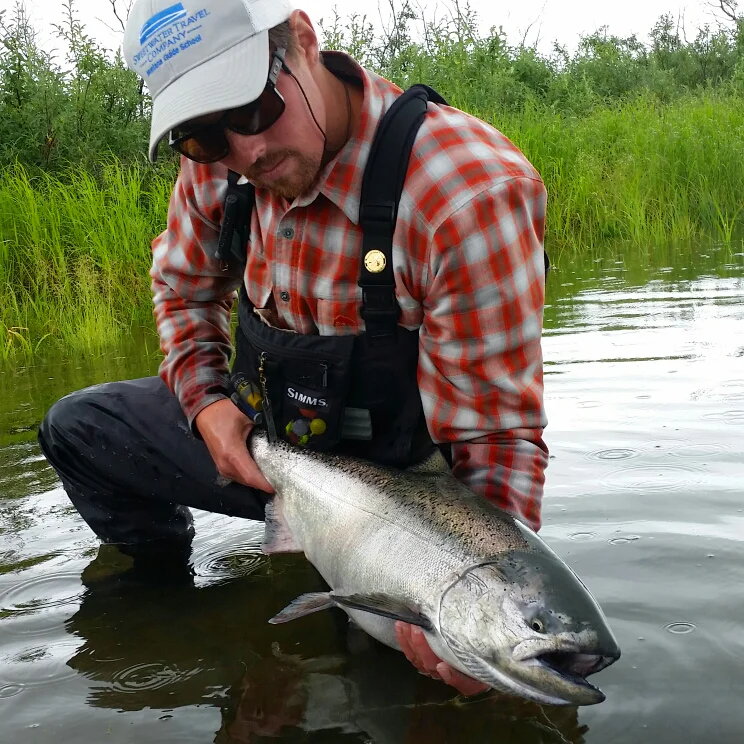 King Salmon