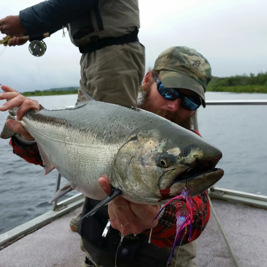 King Salmon