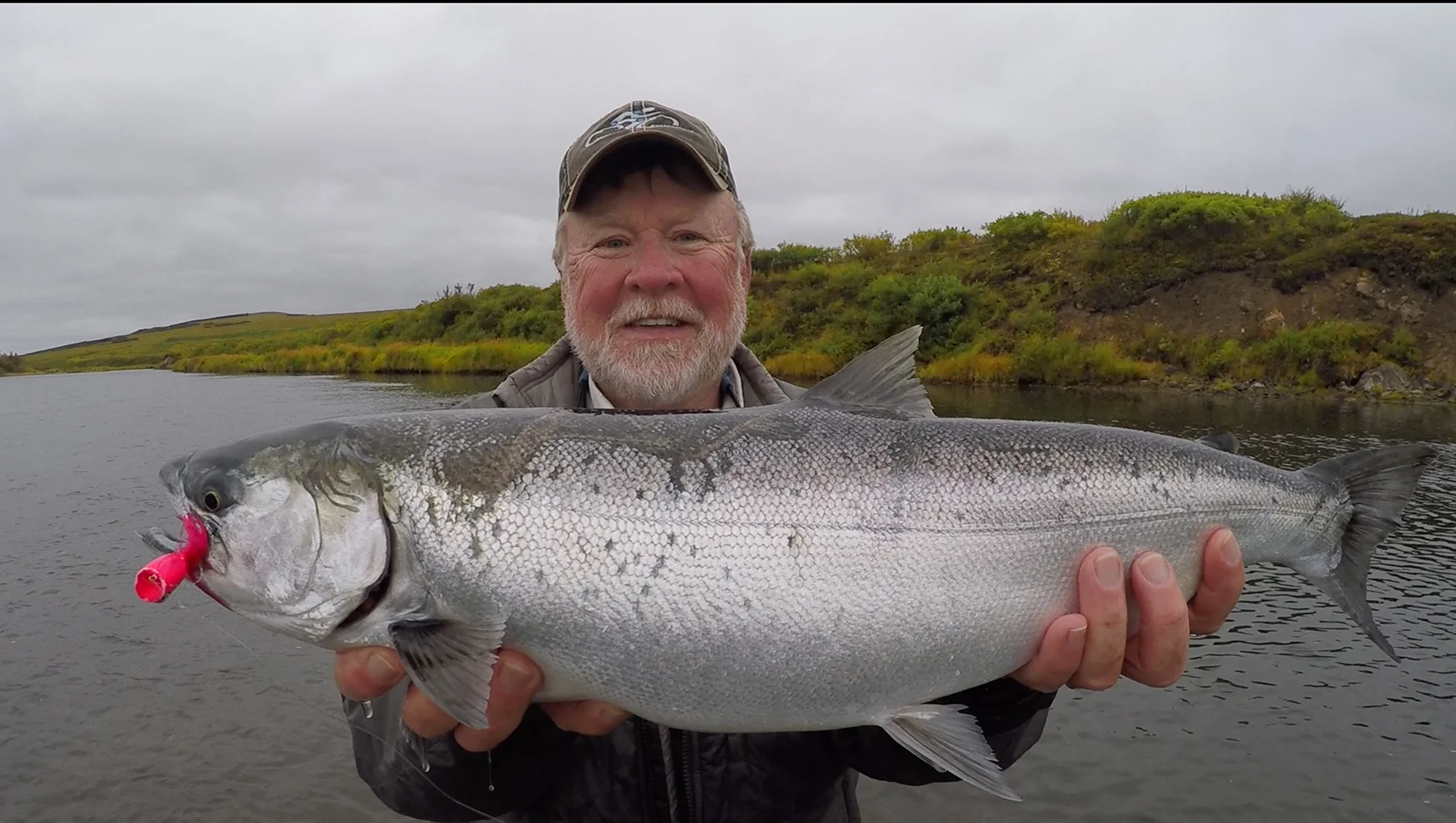Silver Salmon