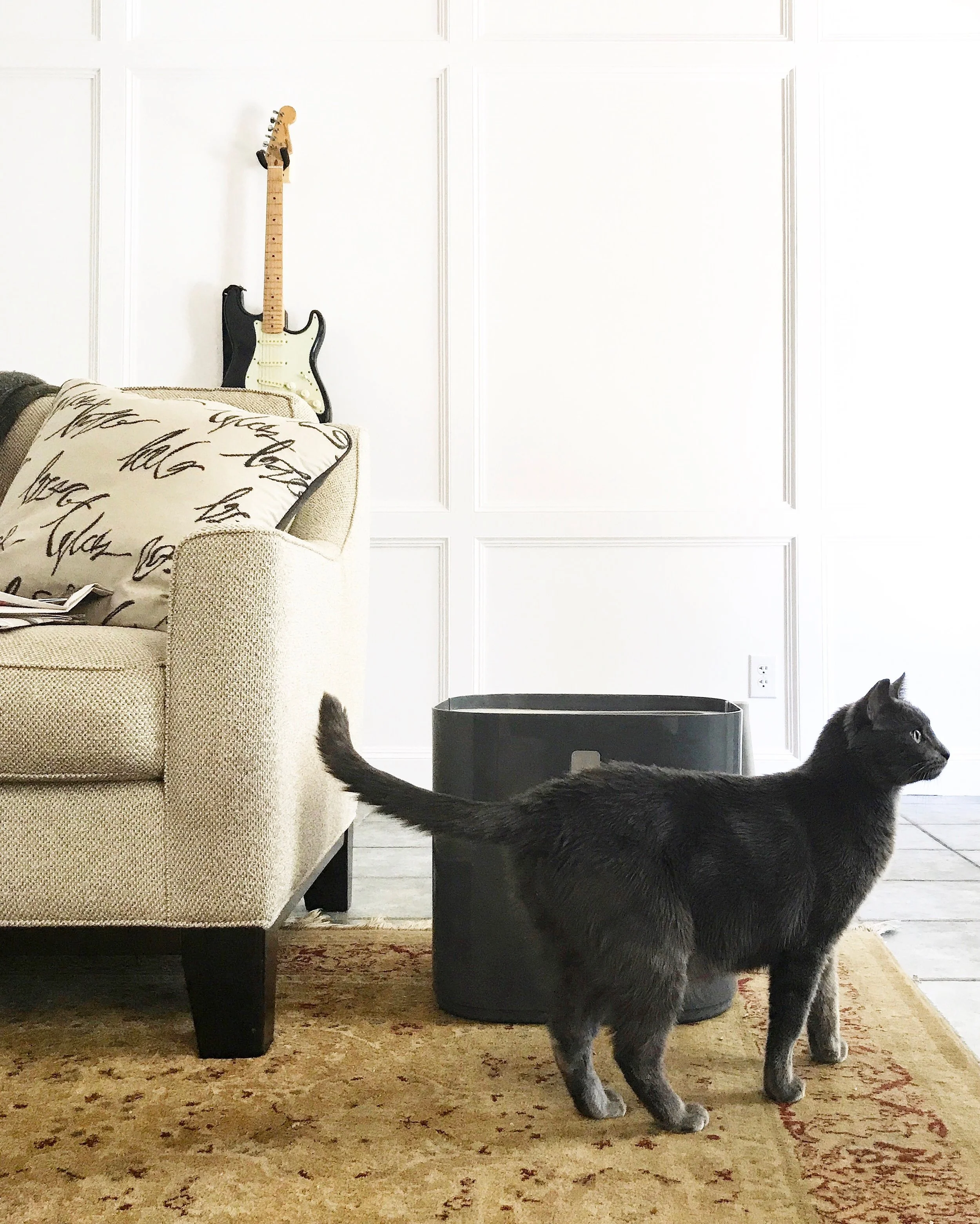 Modkat Review — The Ginger Snap